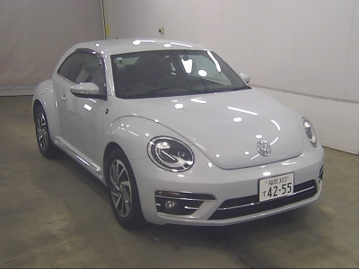 VOLKSWAGEN THE BEETLE