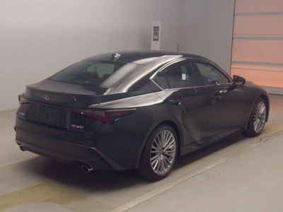 LEXUS IS