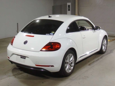 VOLKSWAGEN THE BEETLE