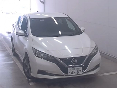 NISSAN LEAF