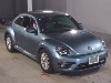 VOLKSWAGEN THE BEETLE