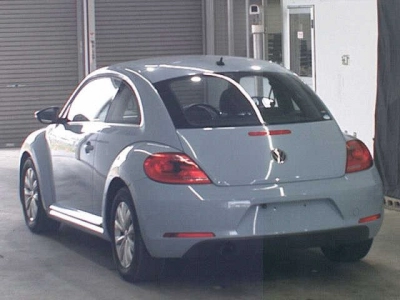 VOLKSWAGEN THE BEETLE