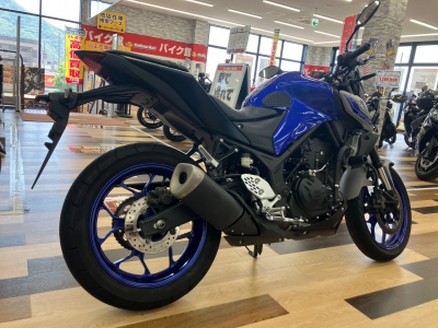 Yamaha MT-25