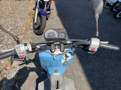 Yamaha VOX