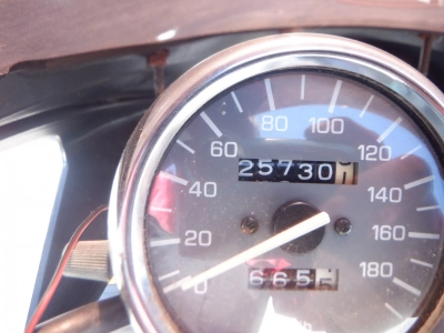 Yamaha ZEAL