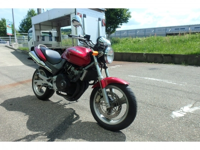 Honda HORNET250