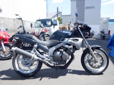 Yamaha ZEAL