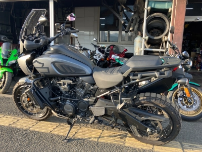 Harley-Davidson  HARLEY  PAN  AMERICA 1250 SPECIAL 