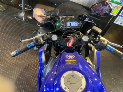 Yamaha YZF-R25