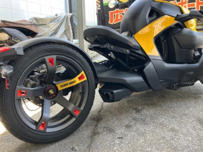OTHER KANNAMURYKER600