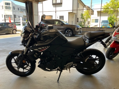 Yamaha MT-25
