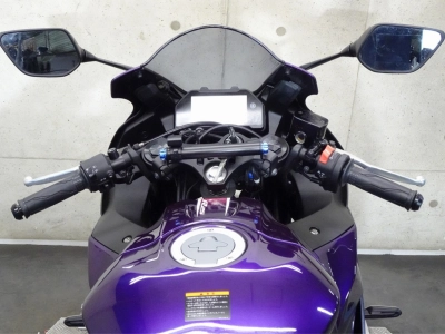 Yamaha YZF-R25
