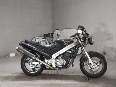 Kawasaki ZZR250
