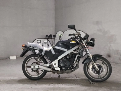 Honda VTZ250