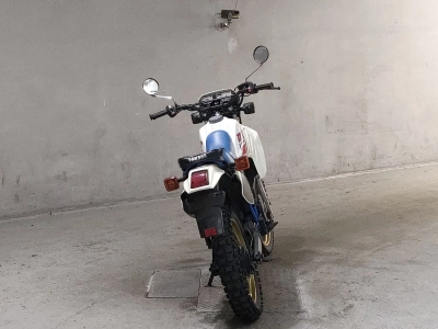 Yamaha DT200R