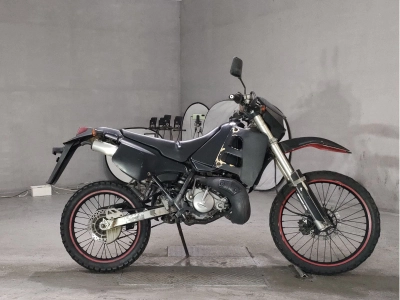 Suzuki TS125R