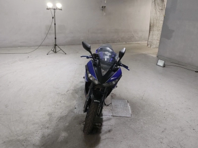 Yamaha YZF-R25