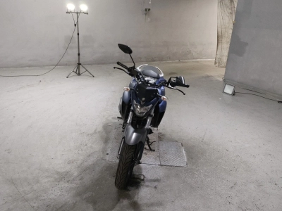 Yamaha FZ25