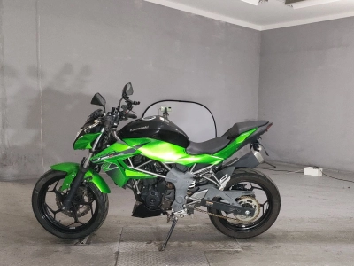 Kawasaki Z250SL