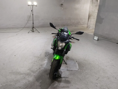 Kawasaki Z250SL