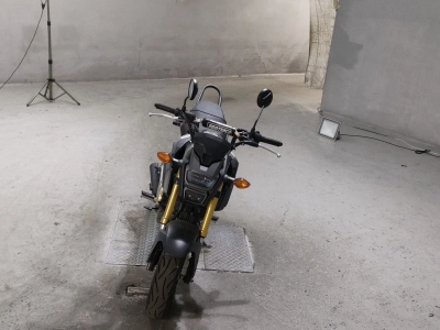 Honda GU ROM