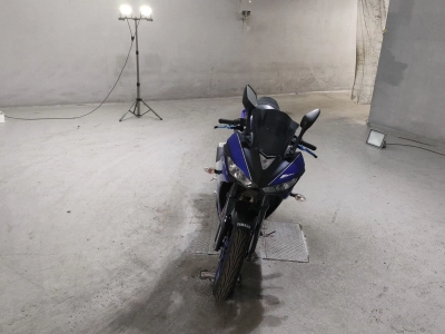 Yamaha YZF-R25