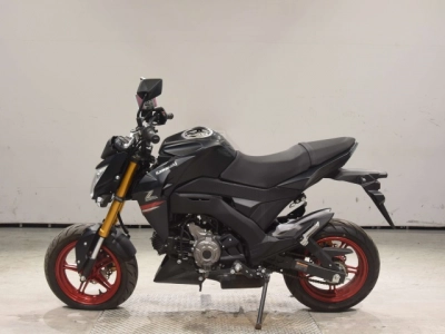 Kawasaki Z125PRO