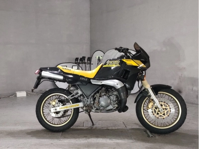 Yamaha TDR250