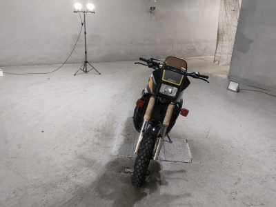 Yamaha TDR250