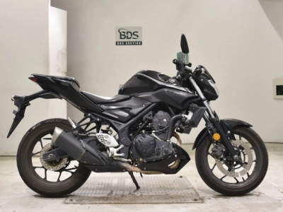 Yamaha MT-25