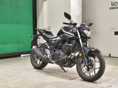 Yamaha MT-25