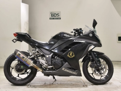 Kawasaki NINJA250