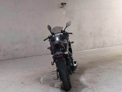 Yamaha YZF-R25