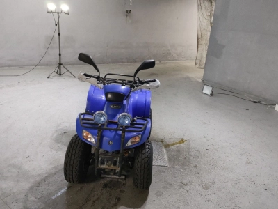 OTHER  BUGGY 50CC