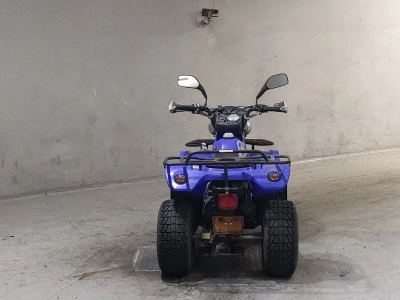 OTHER  BUGGY 50CC