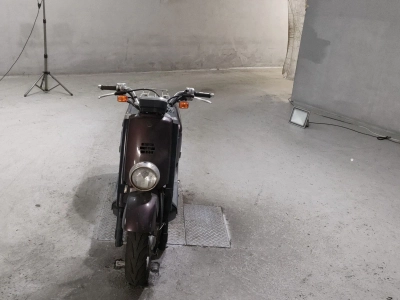 Yamaha VOX