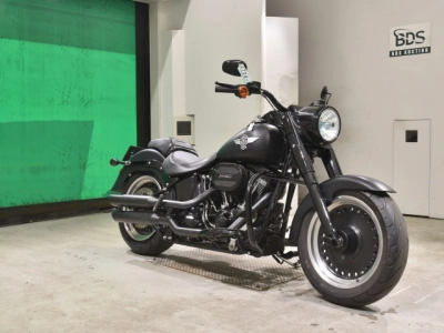Harley-Davidson  HARLEY FLSTFBS1800