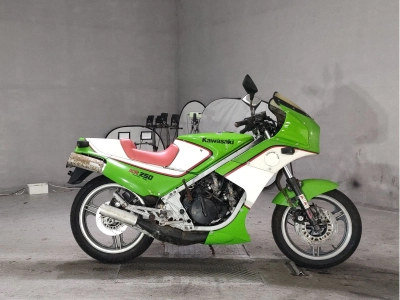 Kawasaki KR250