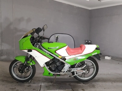 Kawasaki KR250