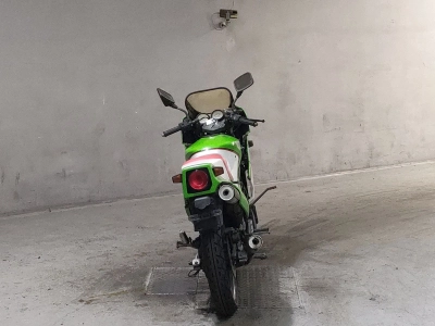 Kawasaki KR250