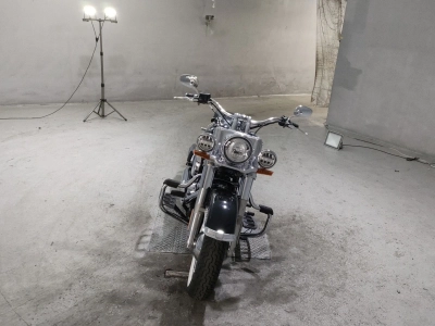 Harley-Davidson  HARLEY FLDE1750