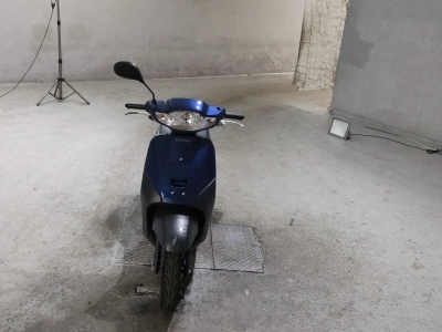 Honda  TACT  BASIC 