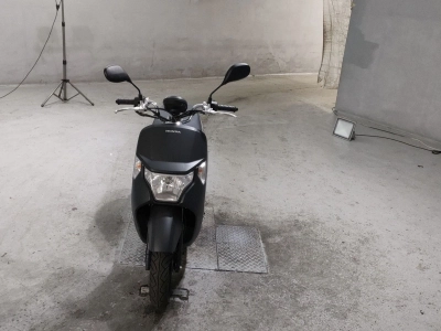 Honda DUNK
