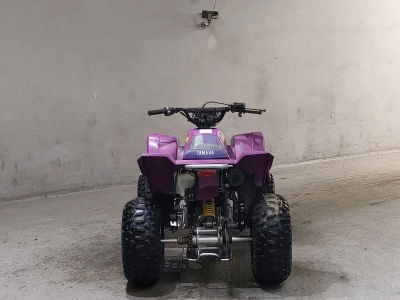 Yamaha YF200S