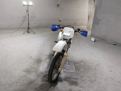 Suzuki DR250S