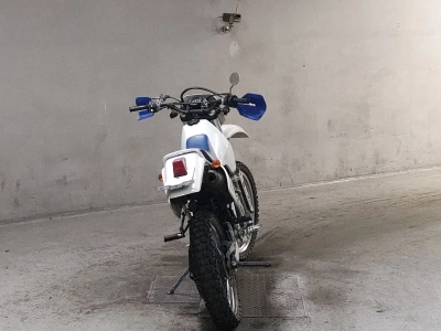 Suzuki DR250S