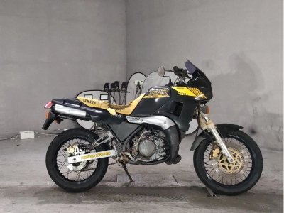 Yamaha TDR250
