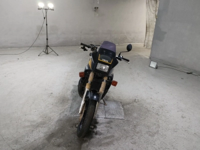 Yamaha TDR250
