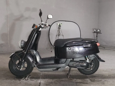 Yamaha VOX
