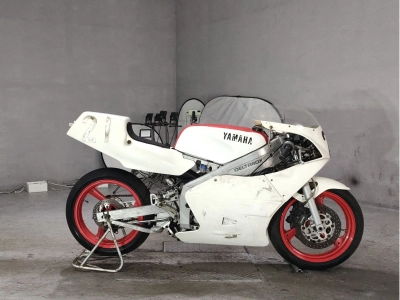 Yamaha TZ250